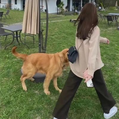 约会恋爱究竟是什么